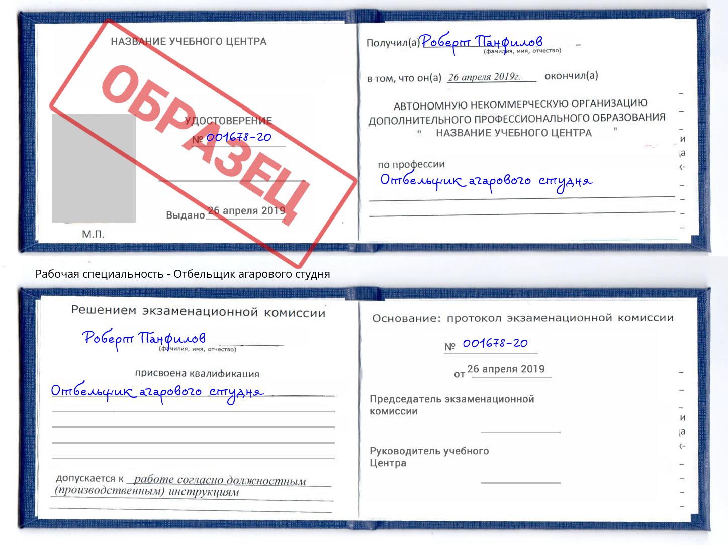 Отбельщик агарового студня Бор