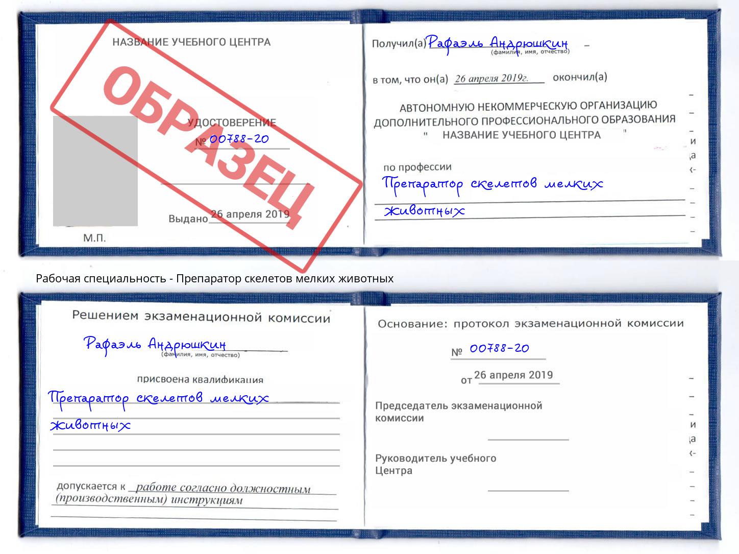 Препаратор скелетов мелких животных Бор