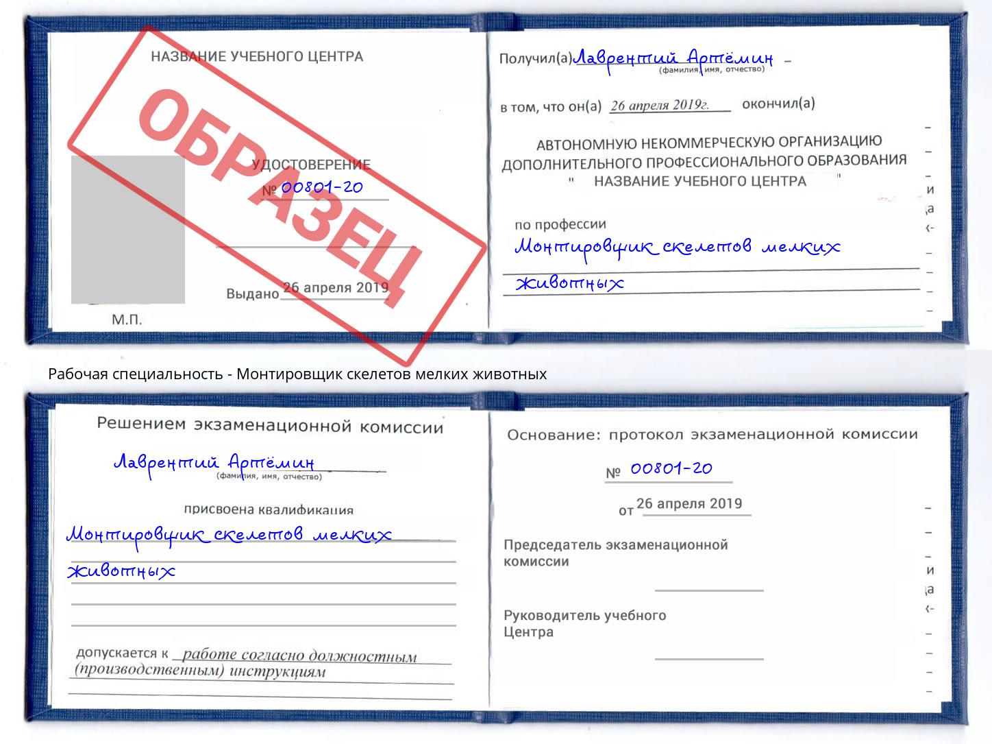 Монтировщик скелетов мелких животных Бор