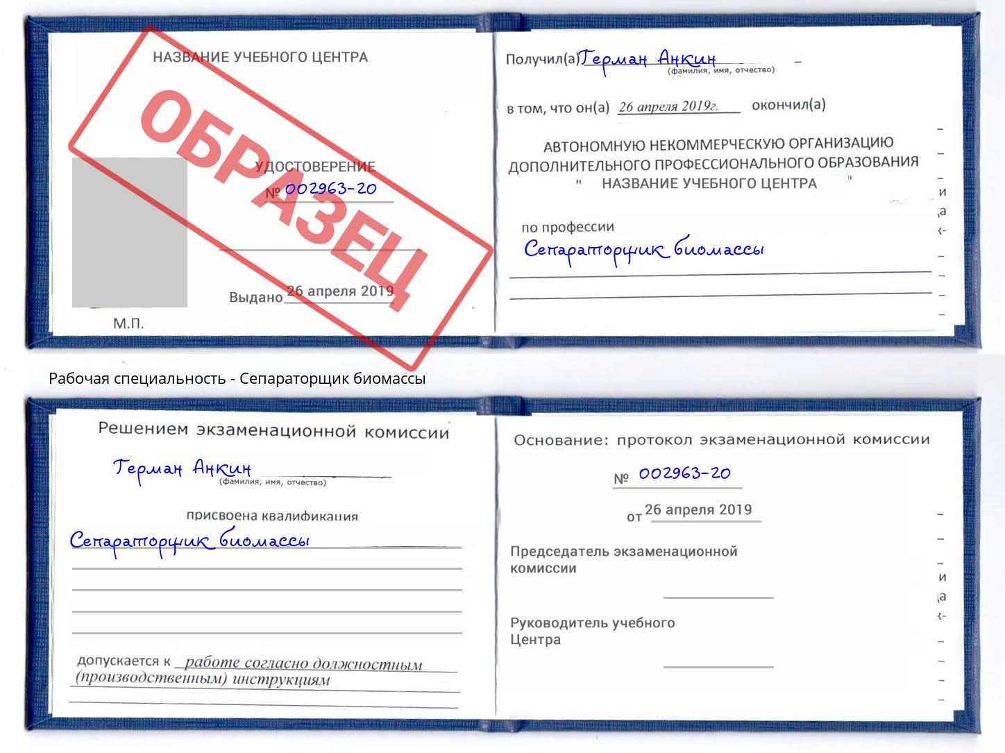 Сепараторщик биомассы Бор