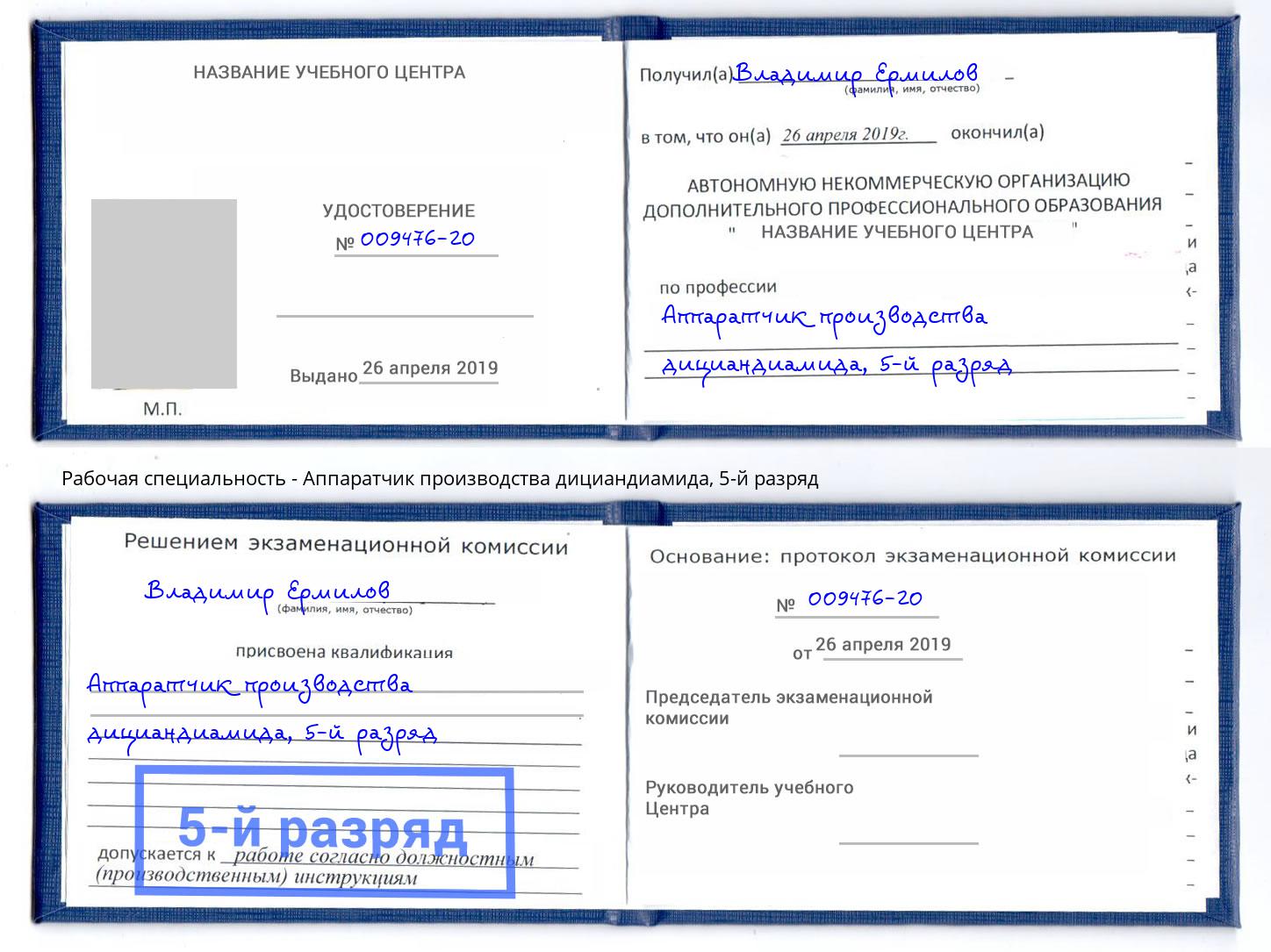 корочка 5-й разряд Аппаратчик производства дициандиамида Бор