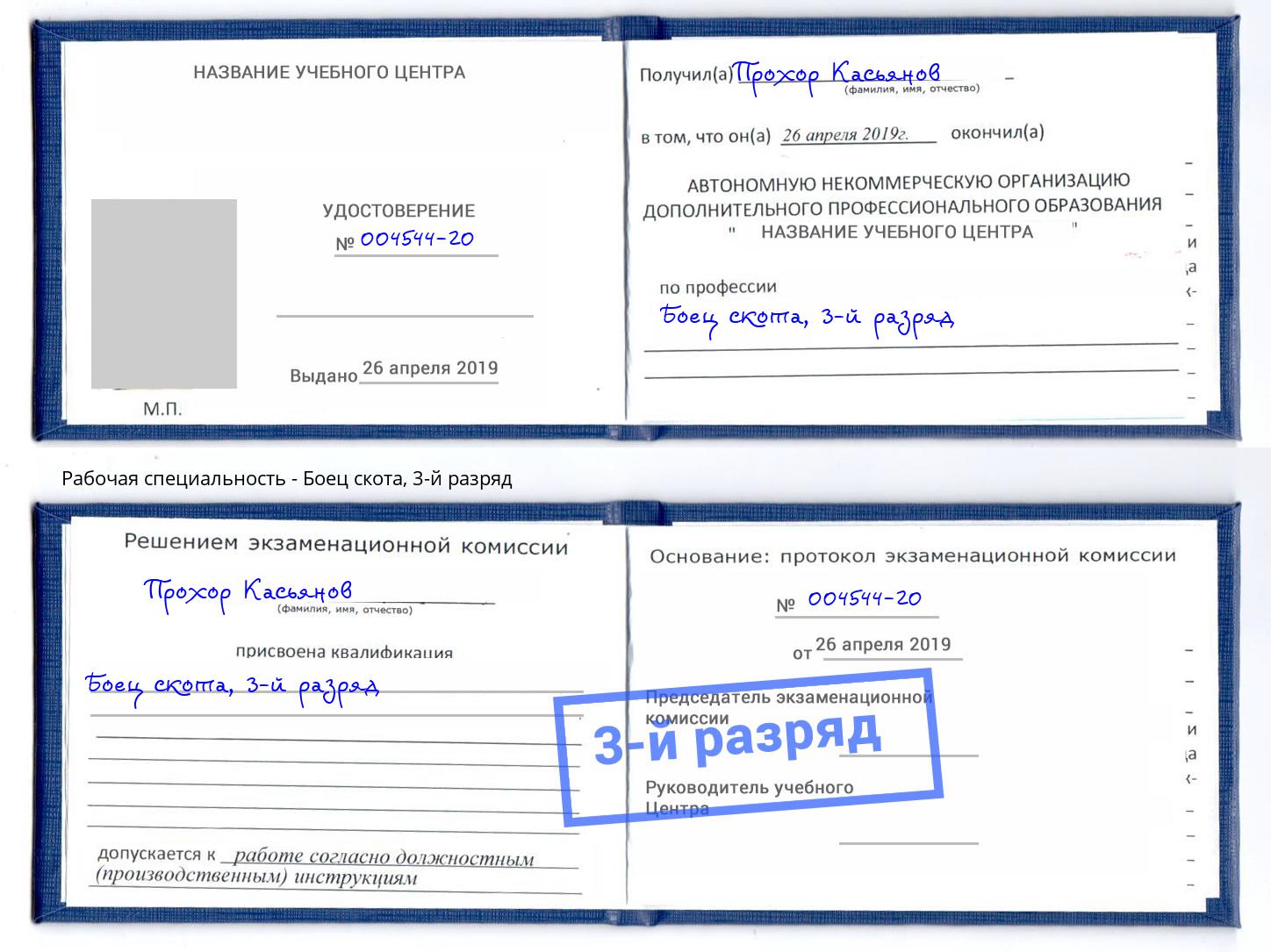 корочка 3-й разряд Боец скота Бор