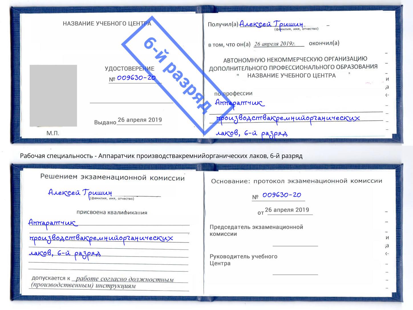 корочка 6-й разряд Аппаратчик производствакремнийорганических лаков Бор