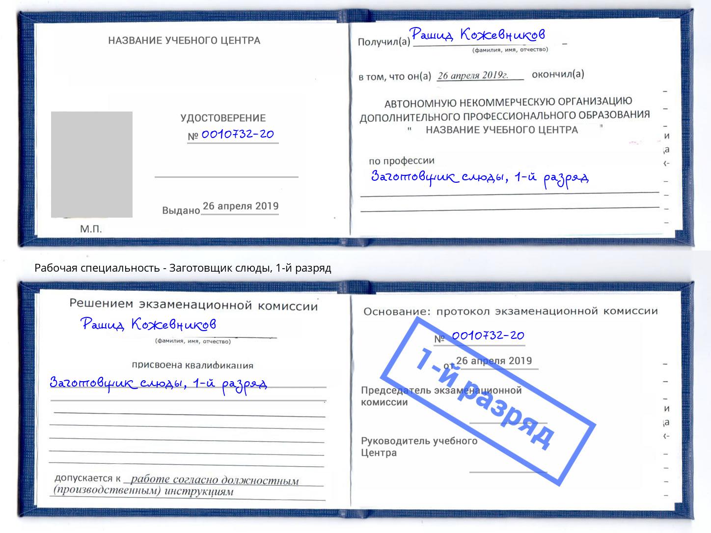 корочка 1-й разряд Заготовщик слюды Бор
