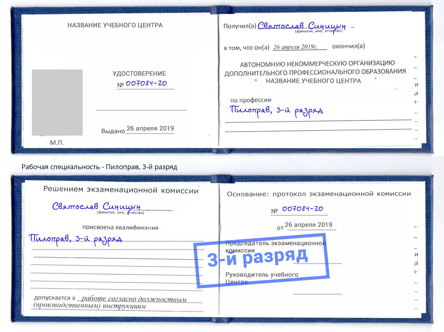 корочка 3-й разряд Пилоправ Бор